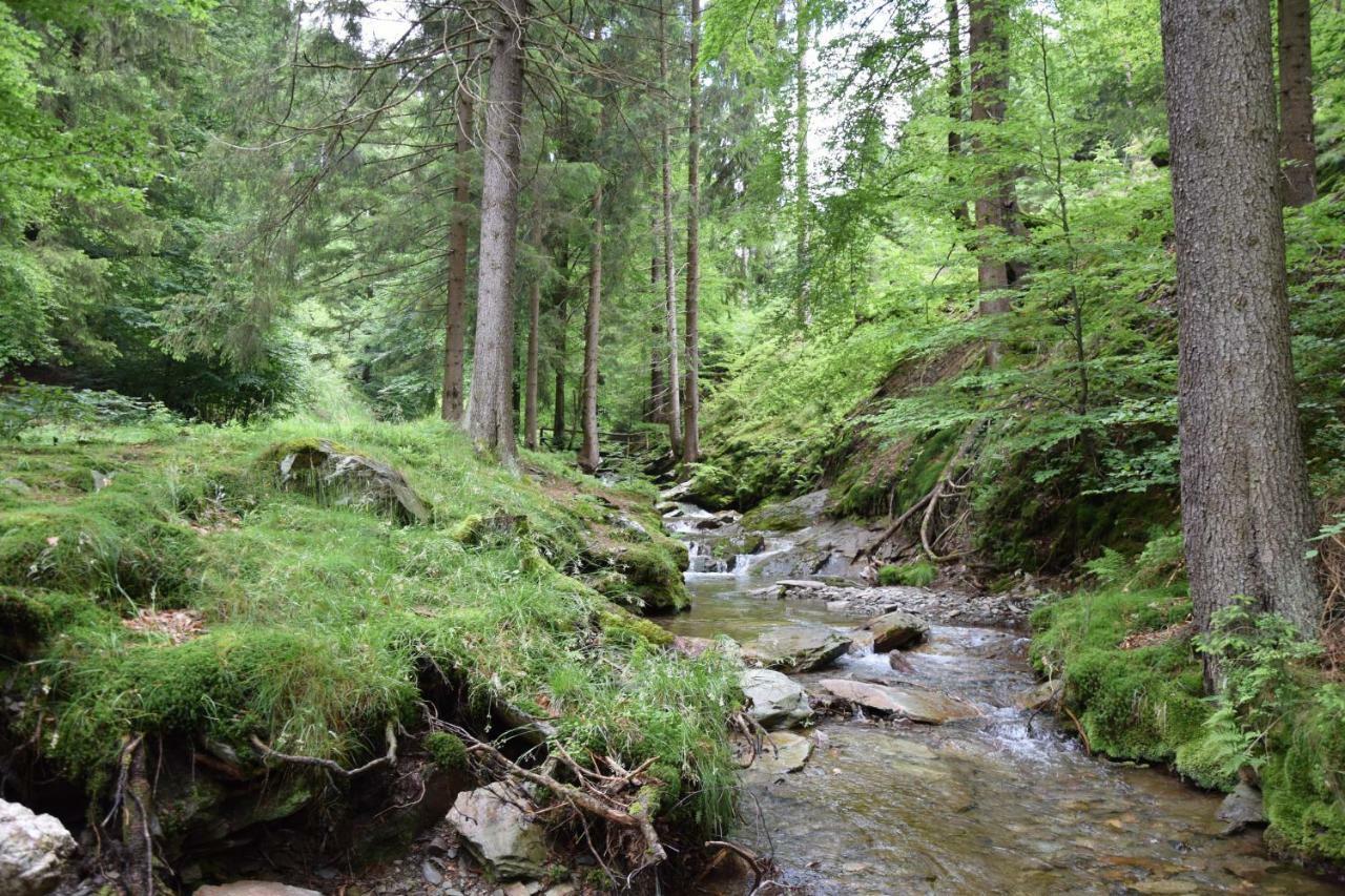 Marschalls Hotel Am Rennsteig Neuhaus am Rennweg Exteriör bild